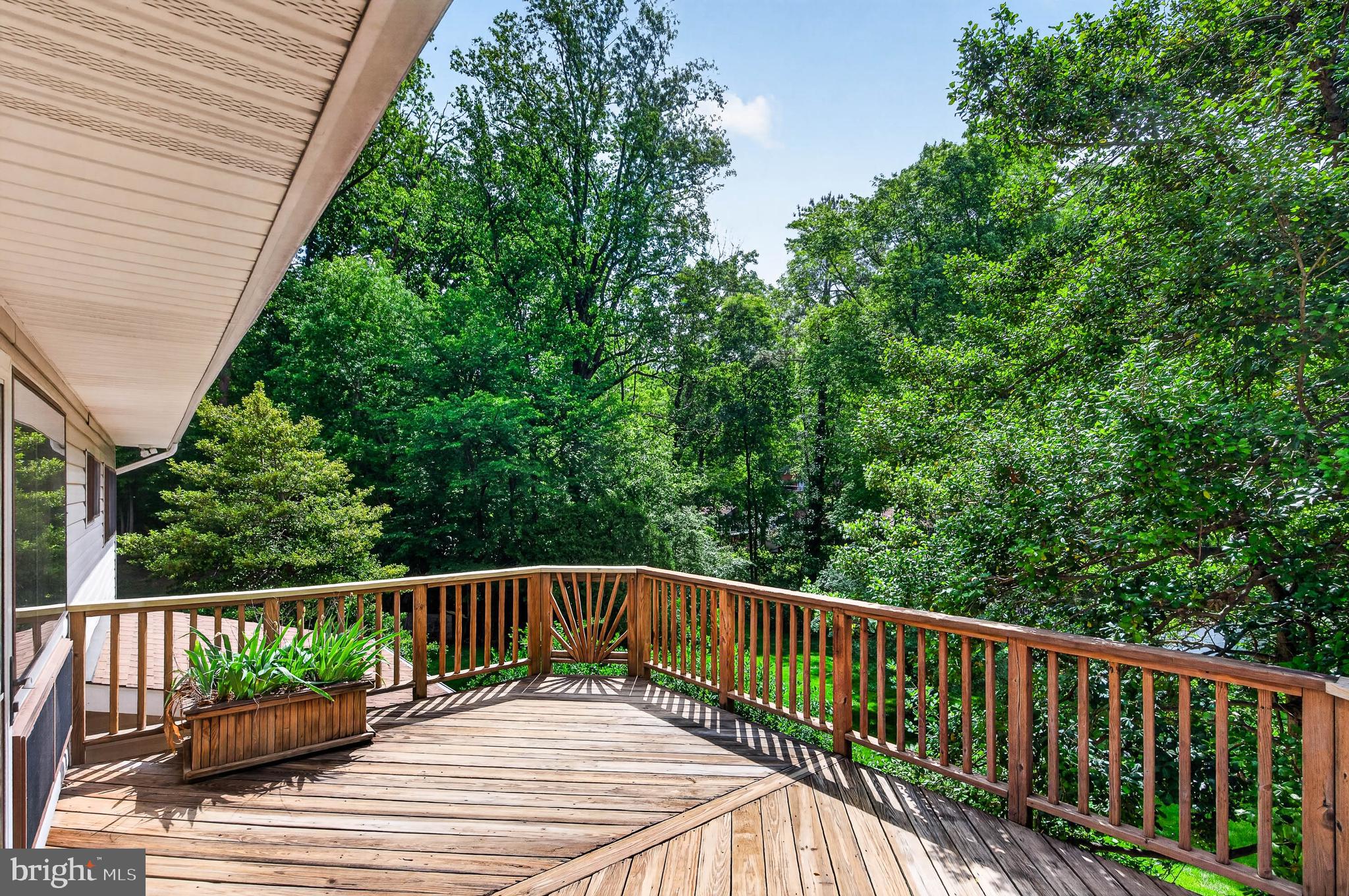 6333 Camilla Street Springfield, VA 22152 - Photo 9 of 54