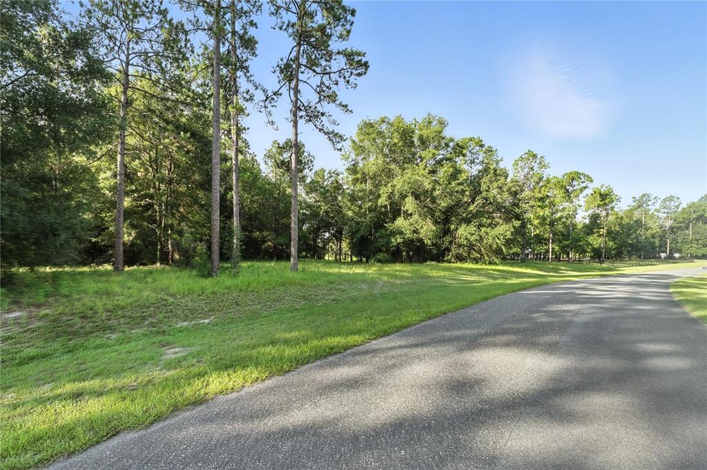 24148 Deep Springs Loop Eustis, FL 32736 - Photo 11 of 24 a view of field with trees in the background