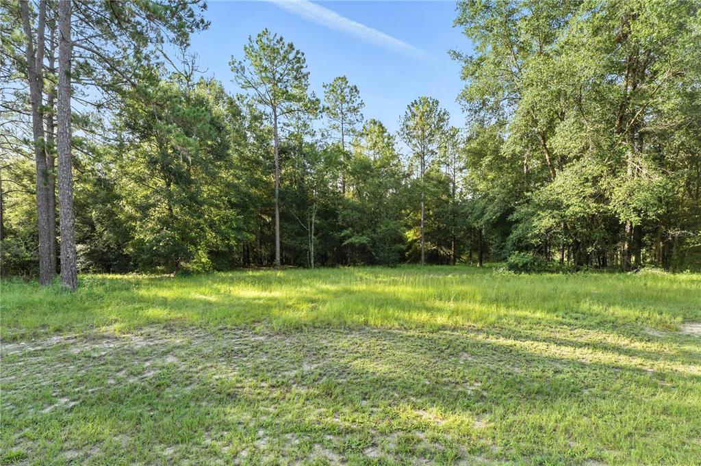 24148 Deep Springs Loop Eustis, FL 32736 - Photo 12 of 24 a view of a field with a tree