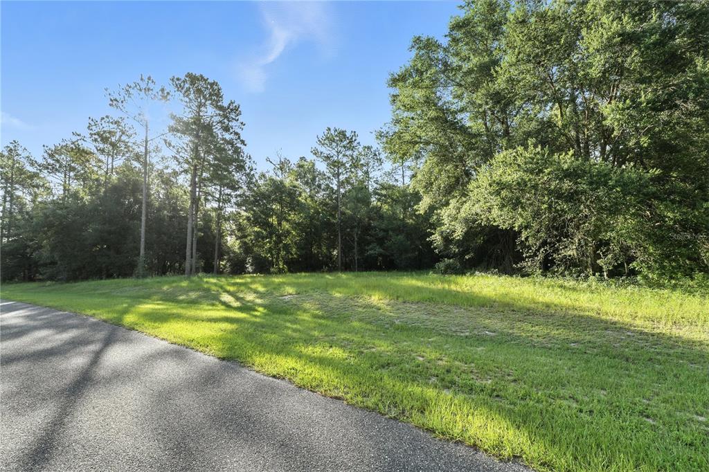 24148 Deep Springs Loop Eustis, FL 32736 - Photo 13 of 24 a view of a yard with a trees