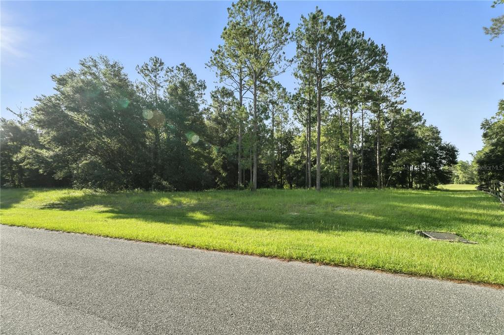 24148 Deep Springs Loop Eustis, FL 32736 - Photo 14 of 24 a view of a park