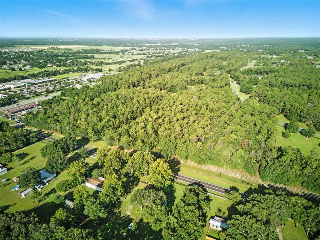 24148 Deep Springs Loop Eustis, FL 32736 - Photo 17 of 24 an aerial view of residential houses with outdoor space and trees