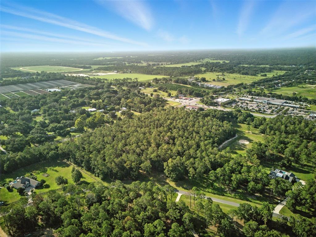 24148 Deep Springs Loop Eustis, FL 32736 - Photo 22 of 24 an aerial view of residential houses with outdoor space and trees