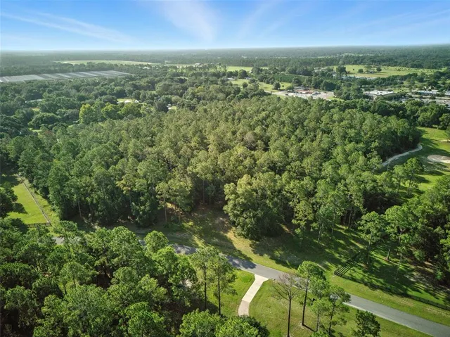 $699,000 | 24148 Deep Springs Loop, Eustis, FL 32736