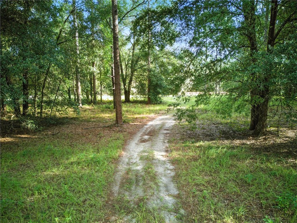 24148 Deep Springs Loop Eustis, FL 32736 - Photo 7 of 24 a view of outdoor space with trees