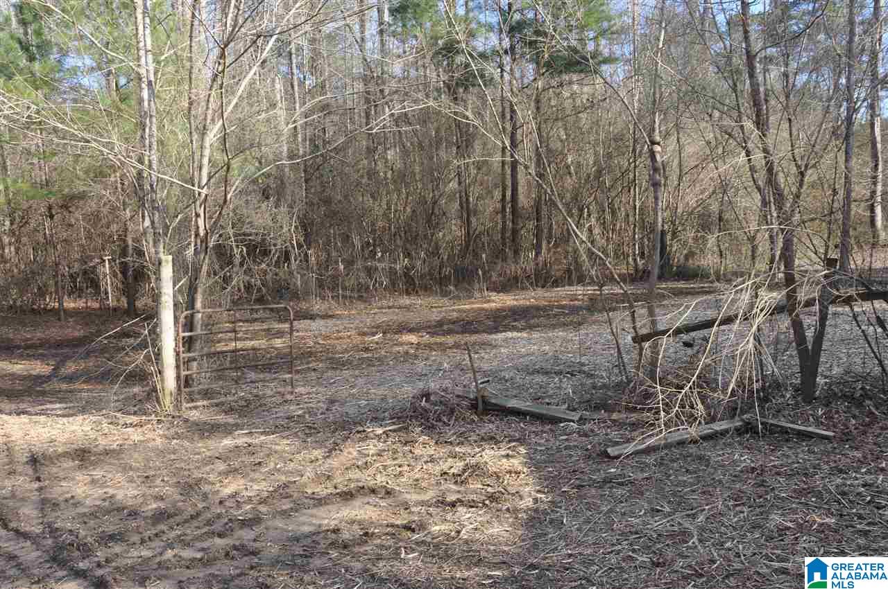 4104 Dean Road Pinson, AL 35126 - Photo 6 of 9