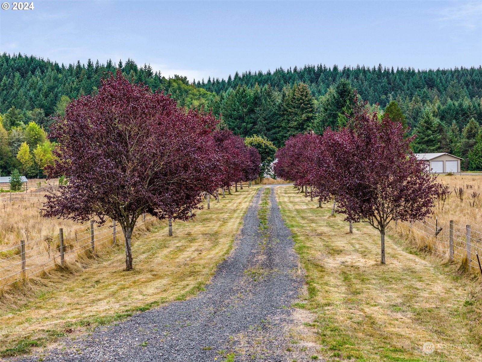 143 Smokey Valley Road Toledo, WA 98591 - Photo 10 of 40 Gallery Image 10