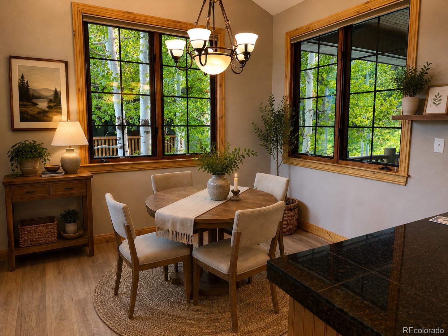 31276 Stone Canyon Road, Unit 76206 Evergreen, CO 80439 - Photo 3 of 23