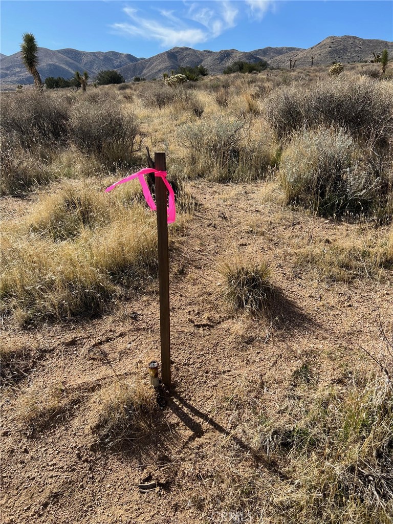 23 Valley View Road Apple Valley, CA 92308 - Photo 4 of 14 a view of a dry yard with mountains in the background