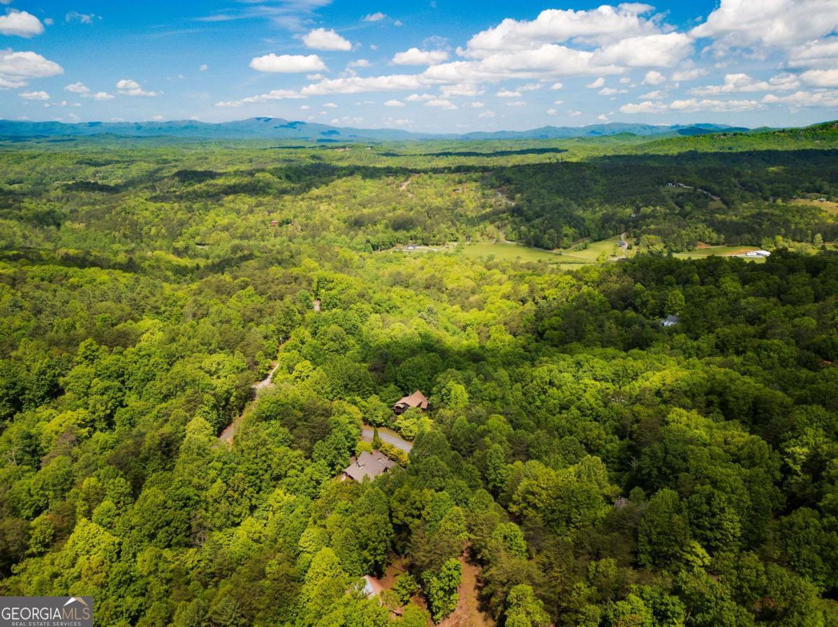 1600 My Mountain Road Morganton, GA 30560 - Photo 43 of 48