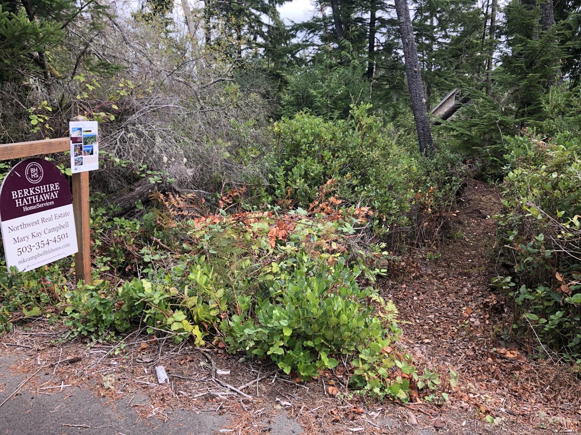 19th Street Manzanita, OR 97130 - Photo 14 of 14 Image(2)