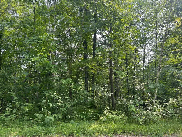 $27,000 | Tbd Central Street, Garrison, MN 56450