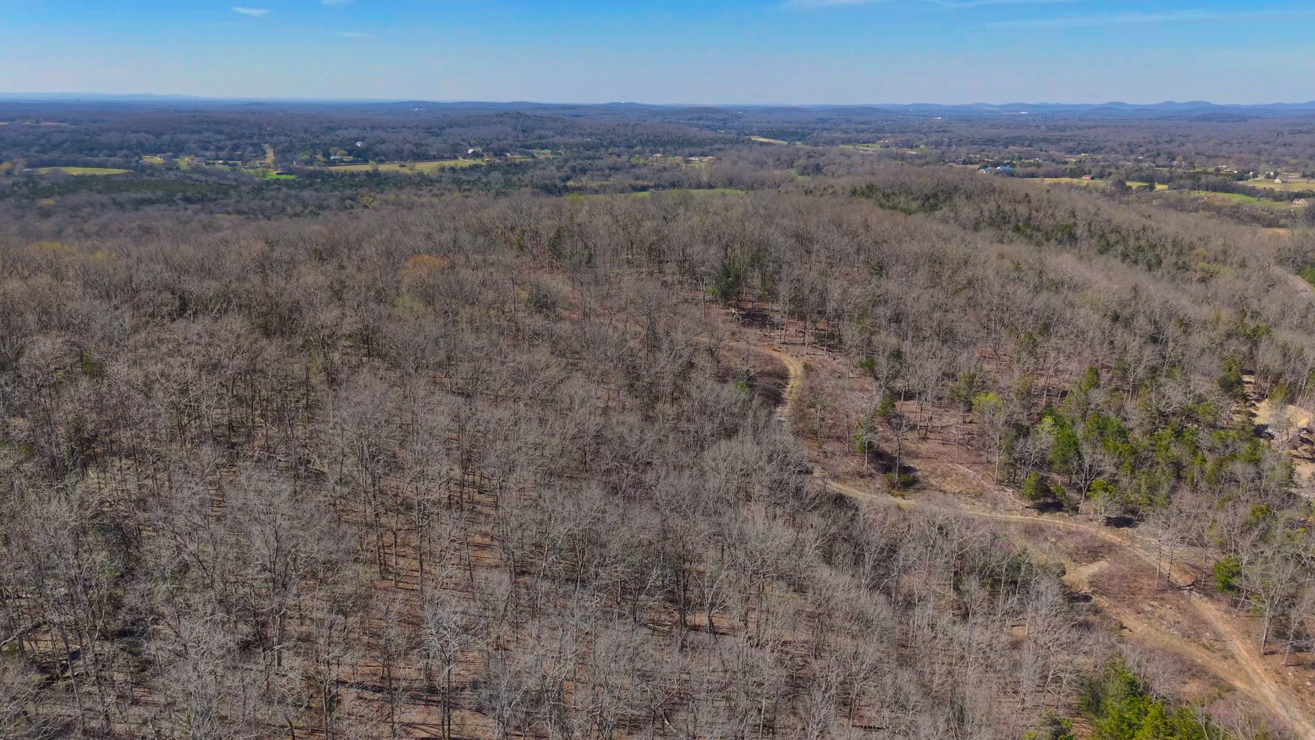 1320 McElroy Road Readyville, TN 37149 - Photo 12 of 23 a view of city and mountain