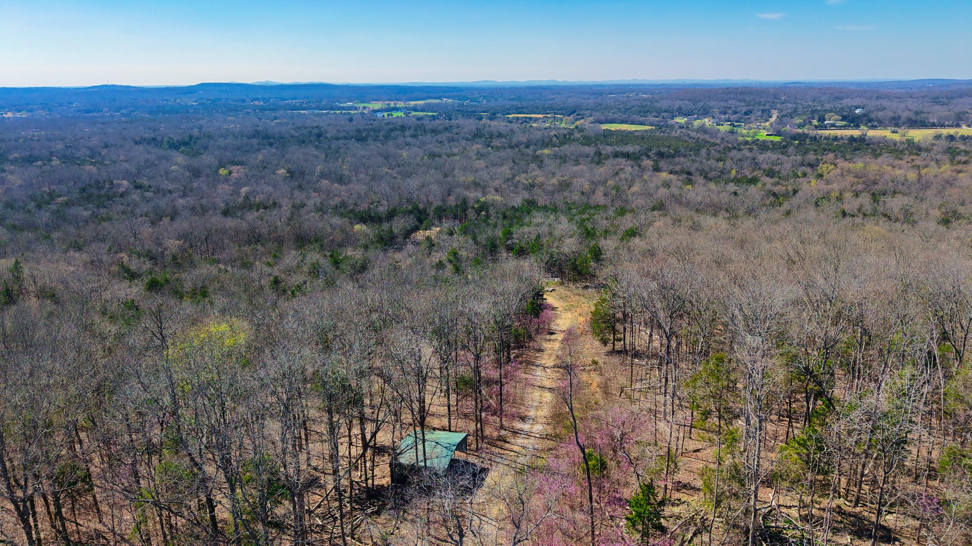 1320 McElroy Road Readyville, TN 37149 - Photo 14 of 23 a view of a dry yard with green space