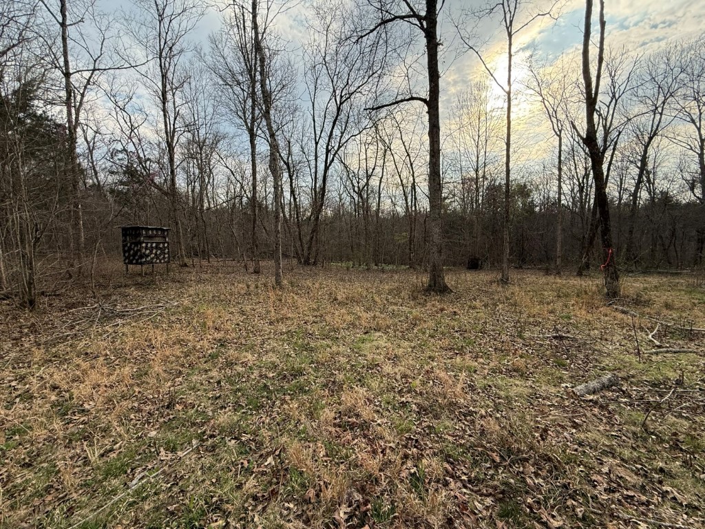 1320 McElroy Road Readyville, TN 37149 - Photo 15 of 23 a view of outdoor space with deck and tree