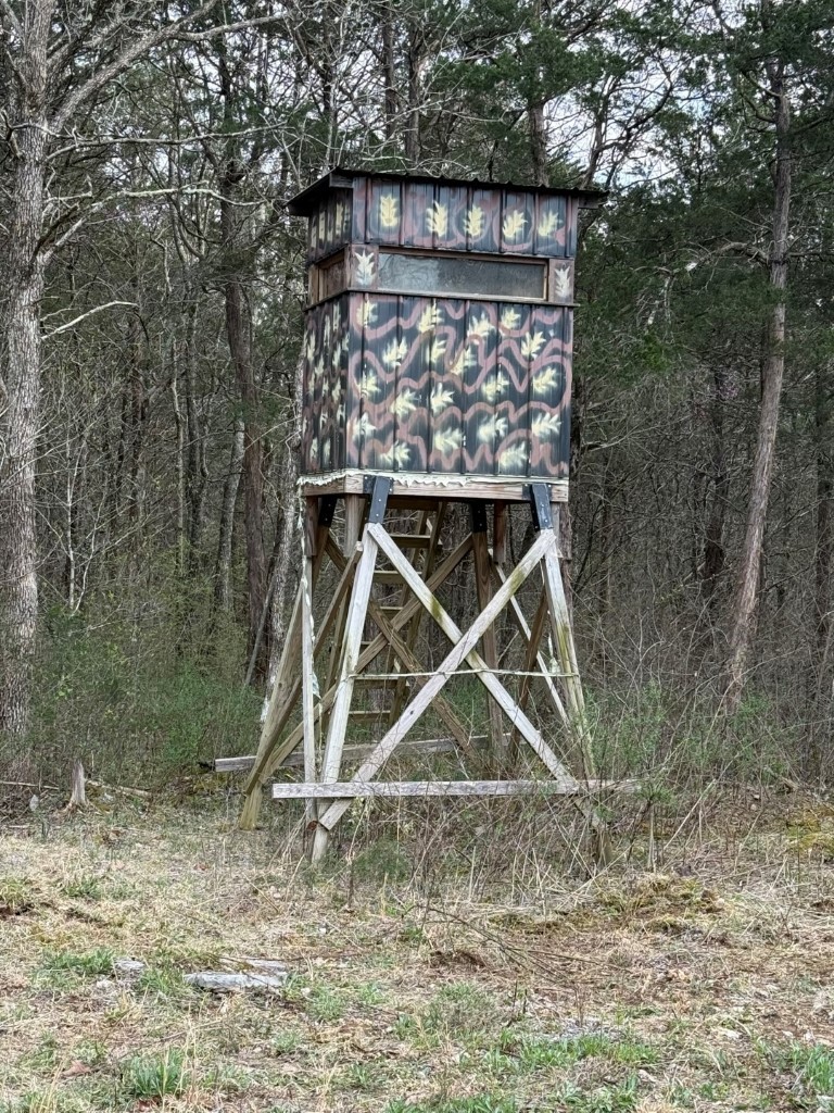 1320 McElroy Road Readyville, TN 37149 - Photo 16 of 23 a view of wooden roof of a house