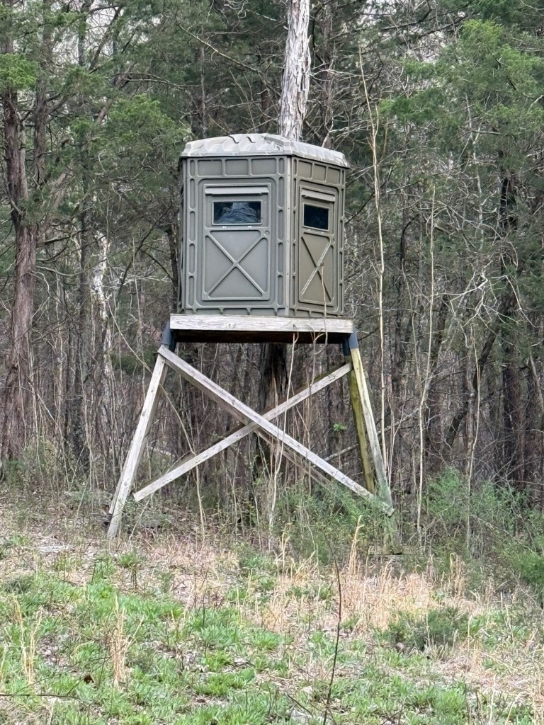 1320 McElroy Road Readyville, TN 37149 - Photo 17 of 23 a aerial view of a house with a yard