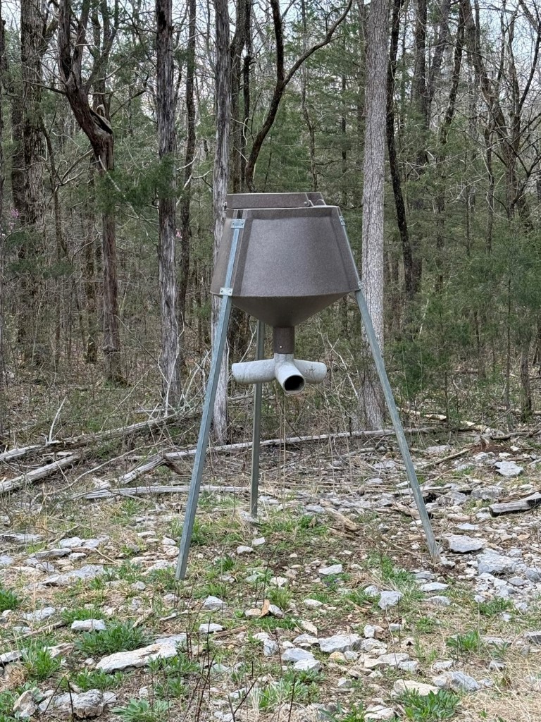 1320 McElroy Road Readyville, TN 37149 - Photo 18 of 23 a backyard of a house with lots of green space