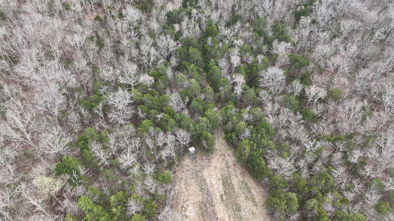 1320 McElroy Road Readyville, TN 37149 - Photo 23 of 23 a view of a yard with a tree