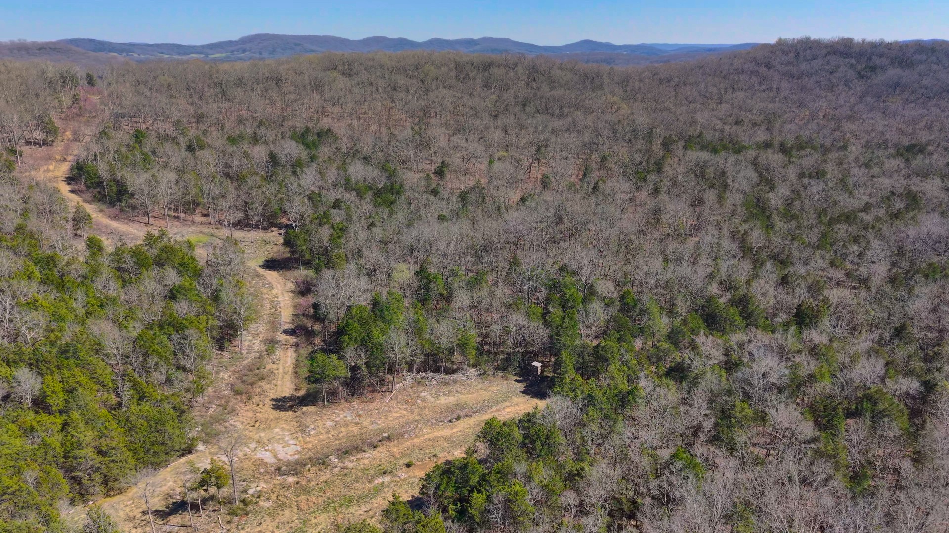 1320 McElroy Road Readyville, TN 37149 - Photo 3 of 23 a view of a forest with trees in the background