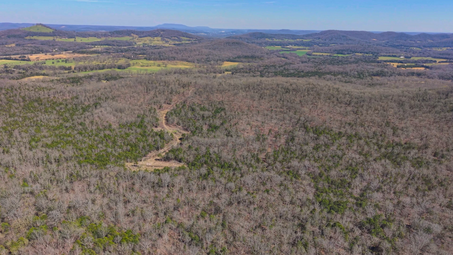 1320 McElroy Road Readyville, TN 37149 - Photo 6 of 23 a view of an outdoor space with mountain view