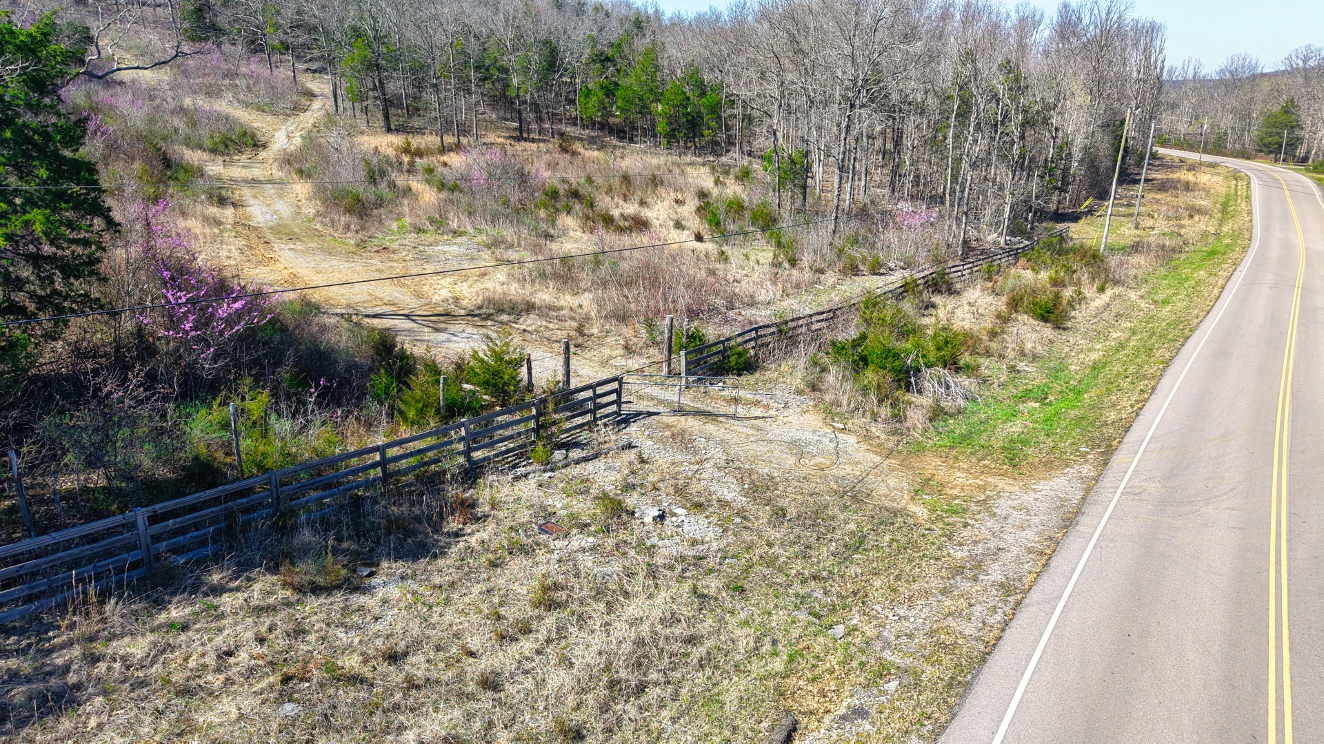1320 McElroy Road Readyville, TN 37149 - Photo 8 of 23 a view of a yard with plants