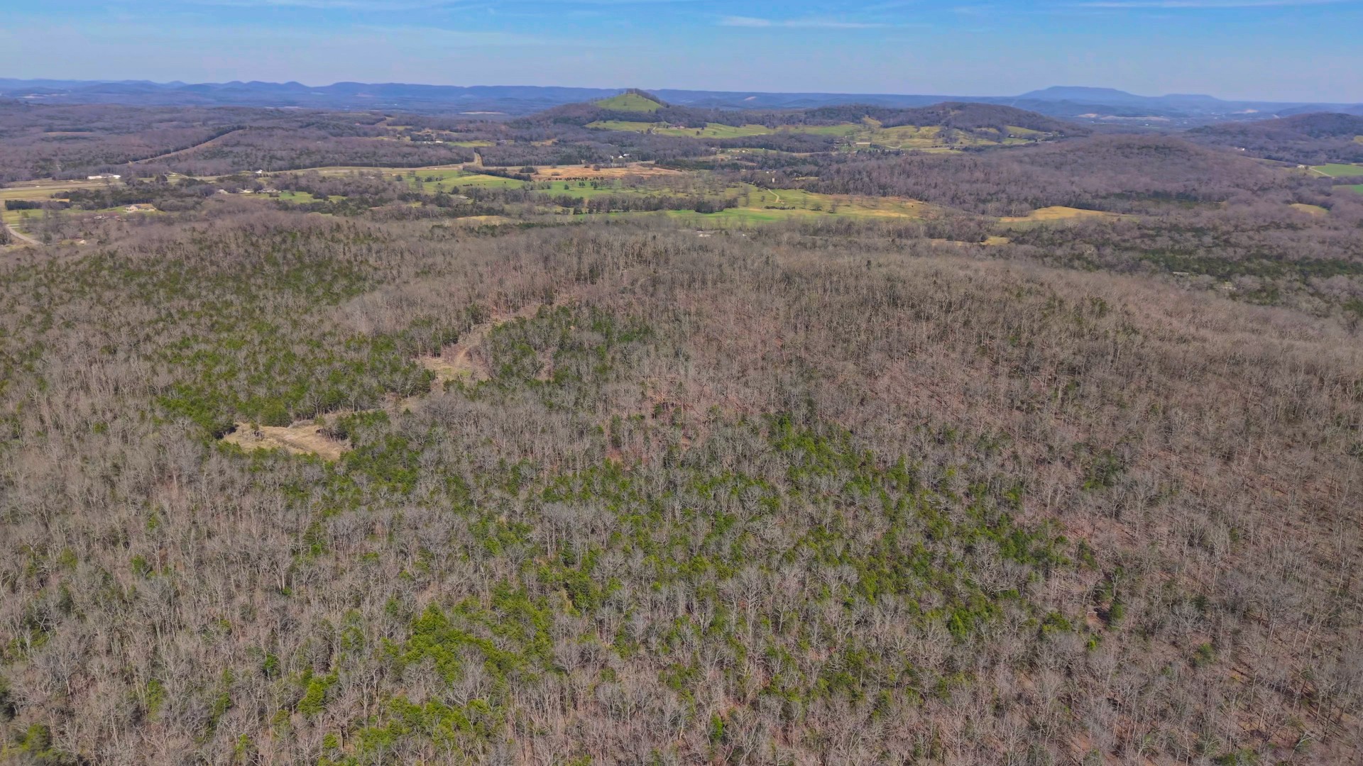1320 McElroy Road Readyville, TN 37149 - Photo 10 of 23 a view of city and mountain