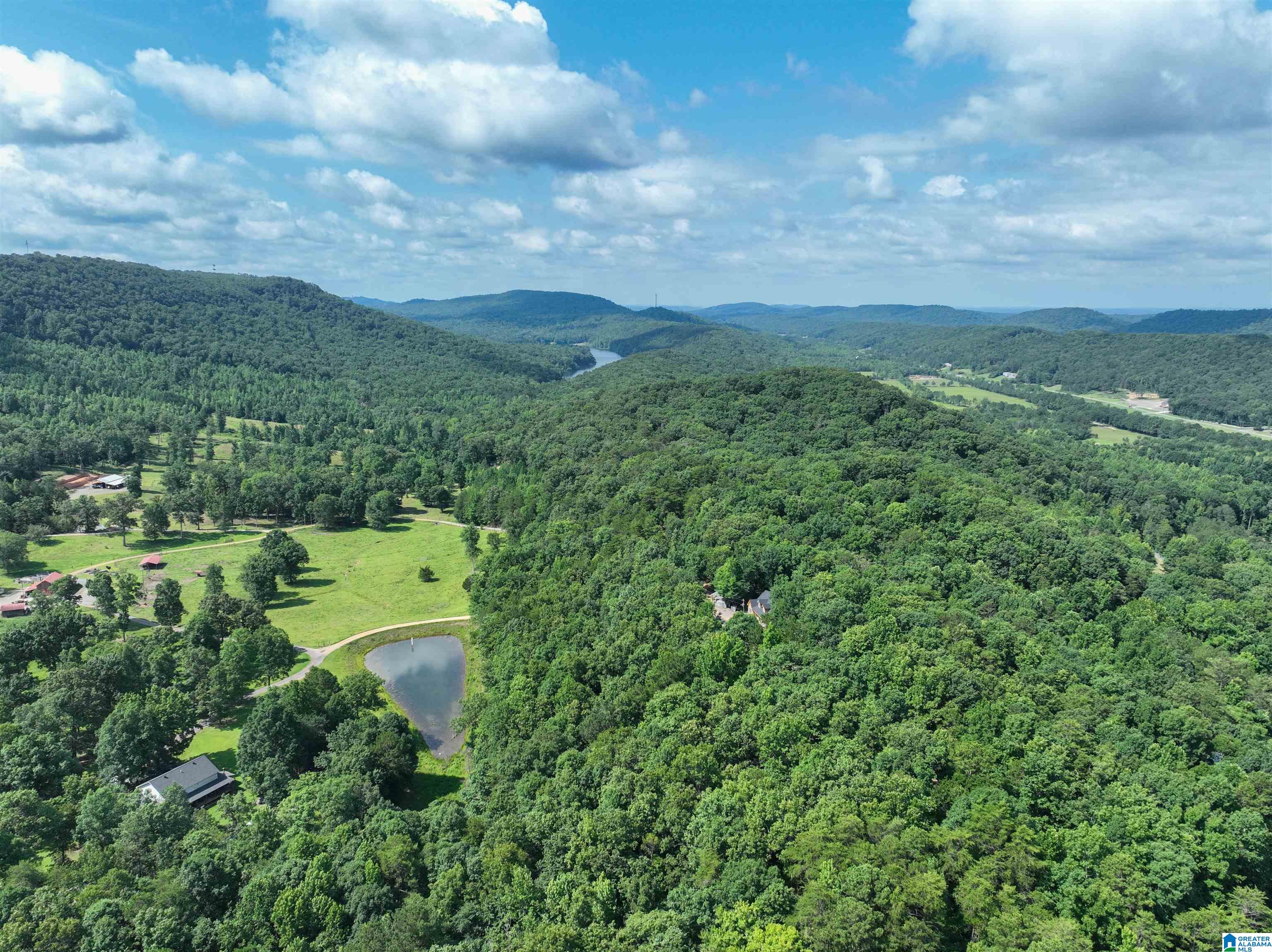 689 Beaver Creek Road Remlap, AL 35133 - Photo 56 of 64