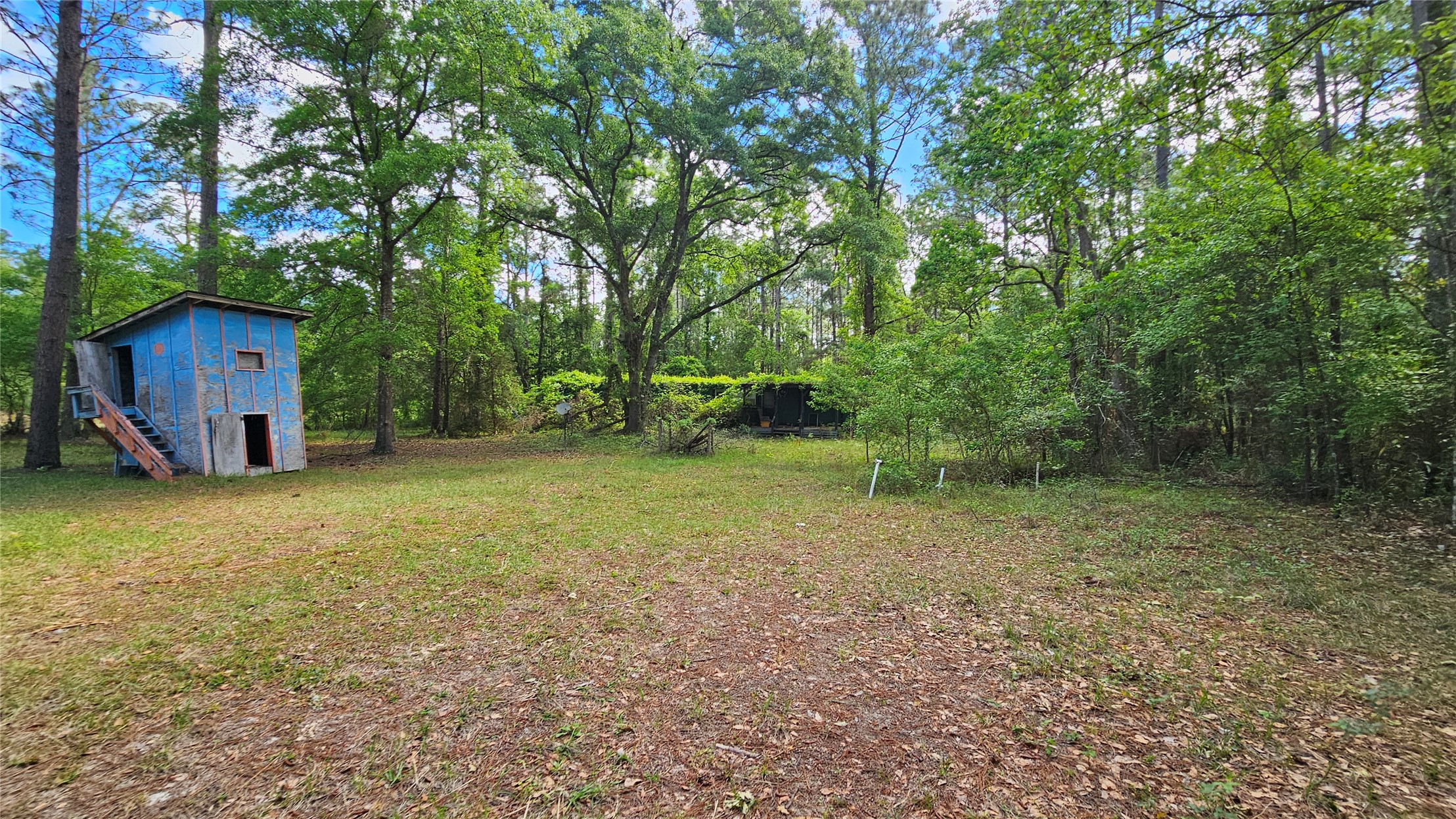6324 Lannie Road Jacksonville, FL 32218 - Photo 33 of 60