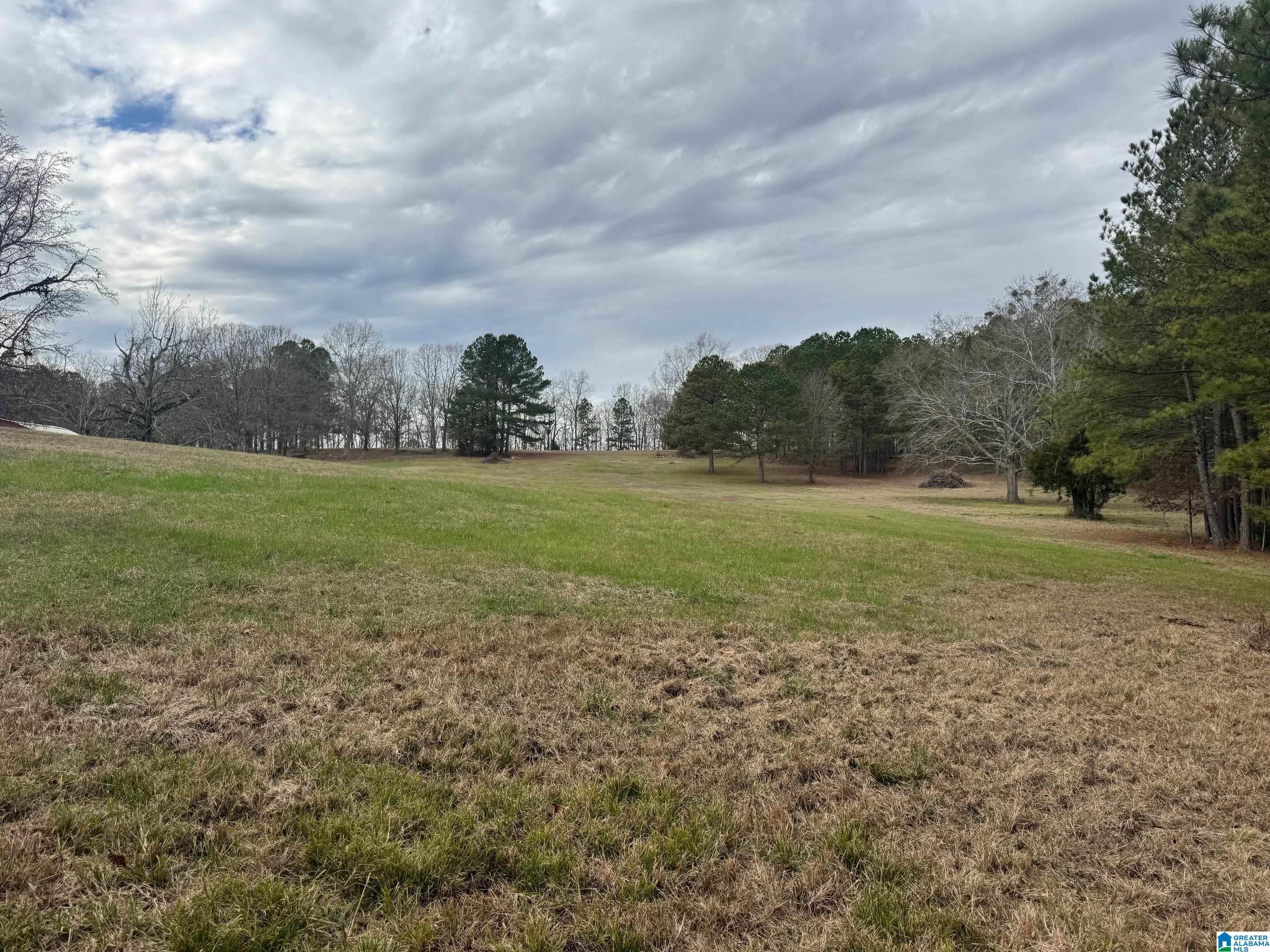 3953 Logan Martin Dam Road Cropwell, AL 35054 - Photo 65 of 99