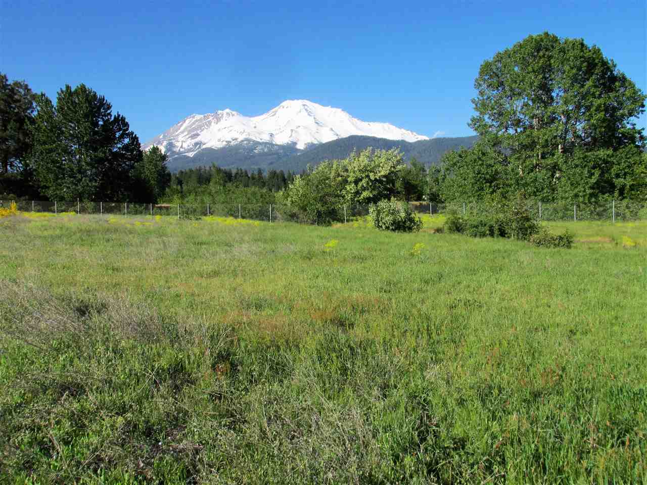Smith Road Mount Shasta, CA 96067 - Photo 14 of 15 Gallery Image 14