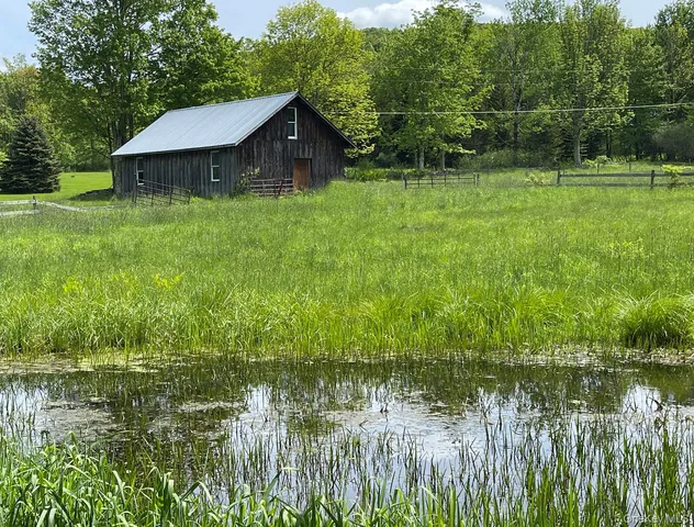 a view of a back yard of the house