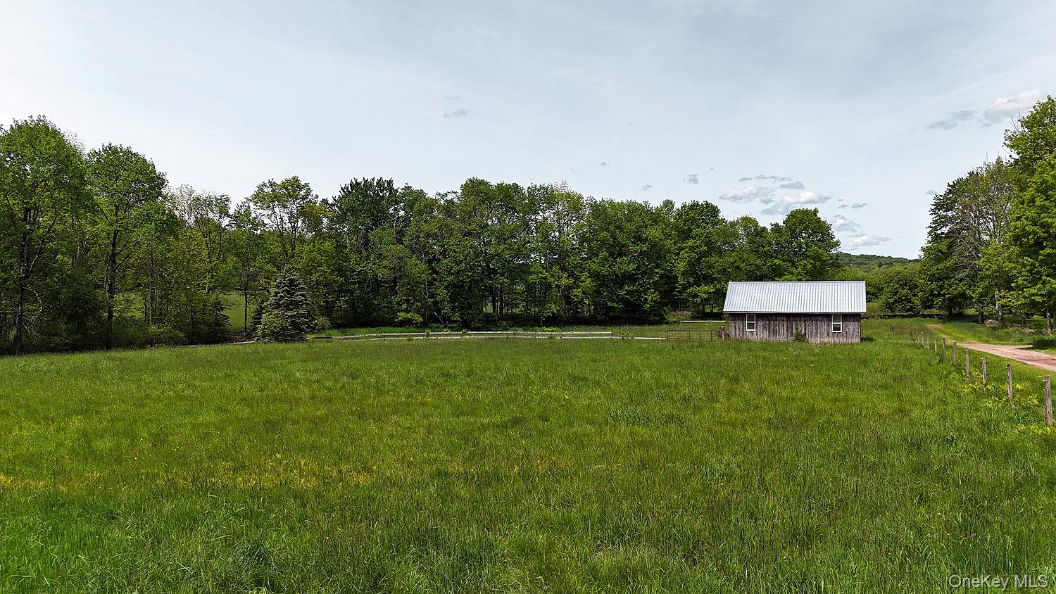 Menges Road Livingston Manor, NY 12791 - Photo 11 of 32 a view of a field with large trees