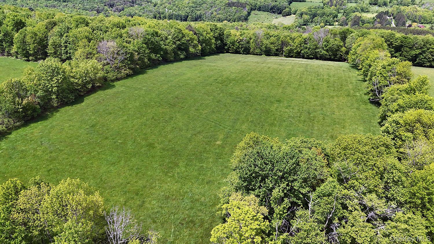 Menges Road Livingston Manor, NY 12791 - Photo 13 of 32 a view of a green yard