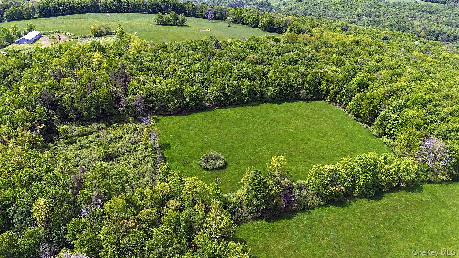 Menges Road Livingston Manor, NY 12791 - Photo 14 of 32 a view of a garden with a swimming pool