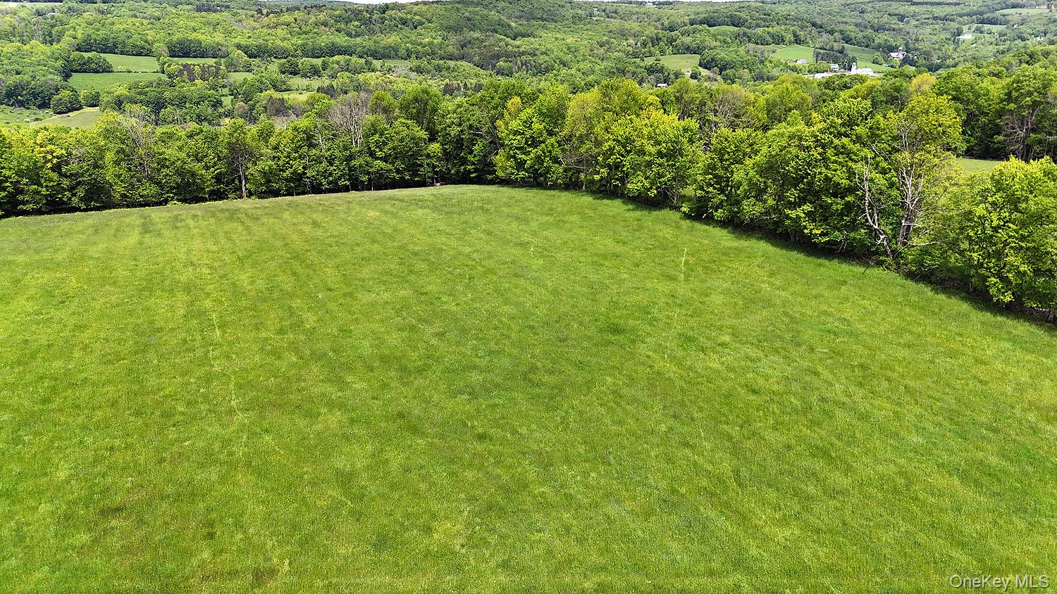 Menges Road Livingston Manor, NY 12791 - Photo 16 of 32 a view of a green field with lots of bushes