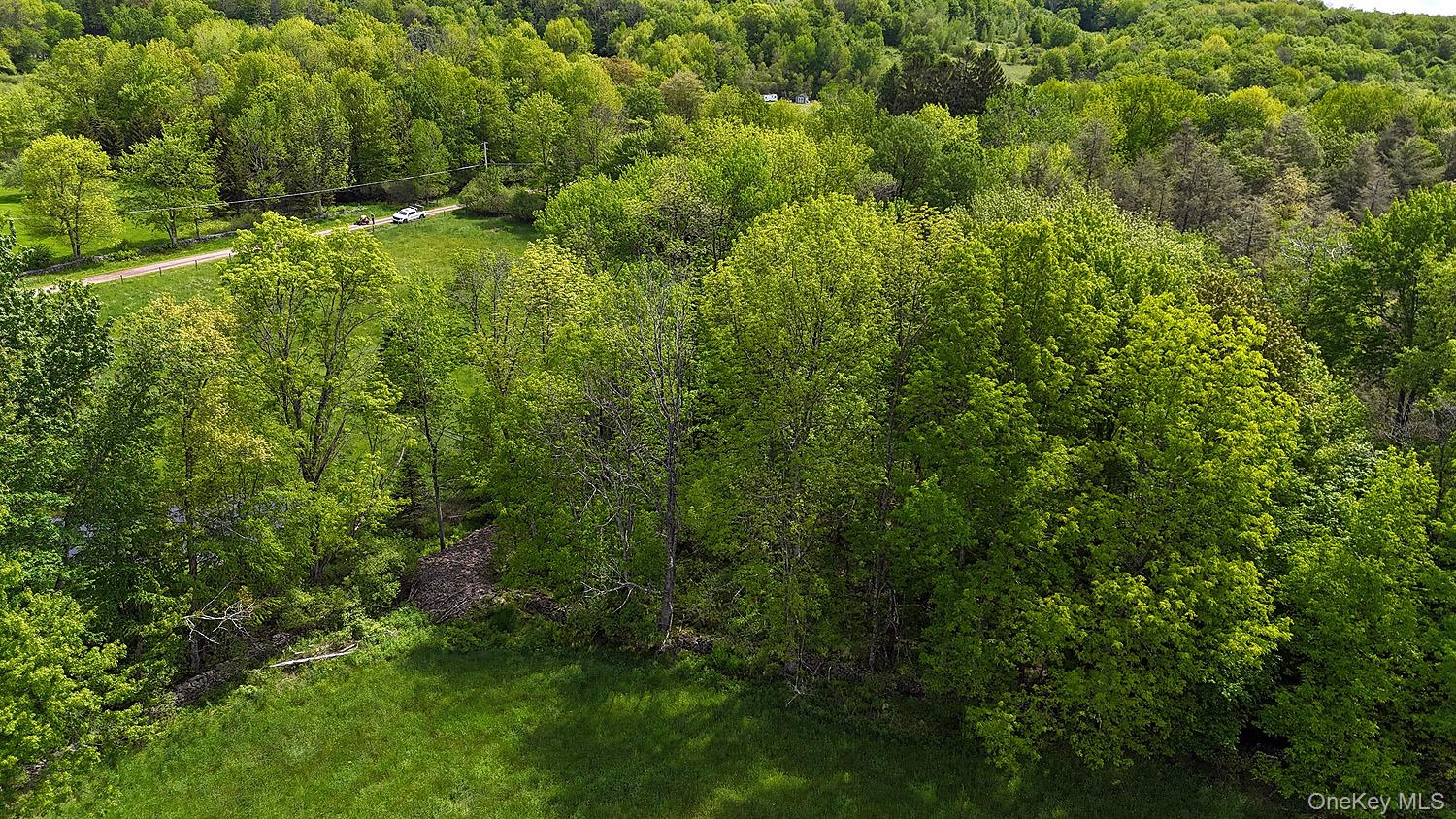 Menges Road Livingston Manor, NY 12791 - Photo 17 of 32 a view of a lush green forest