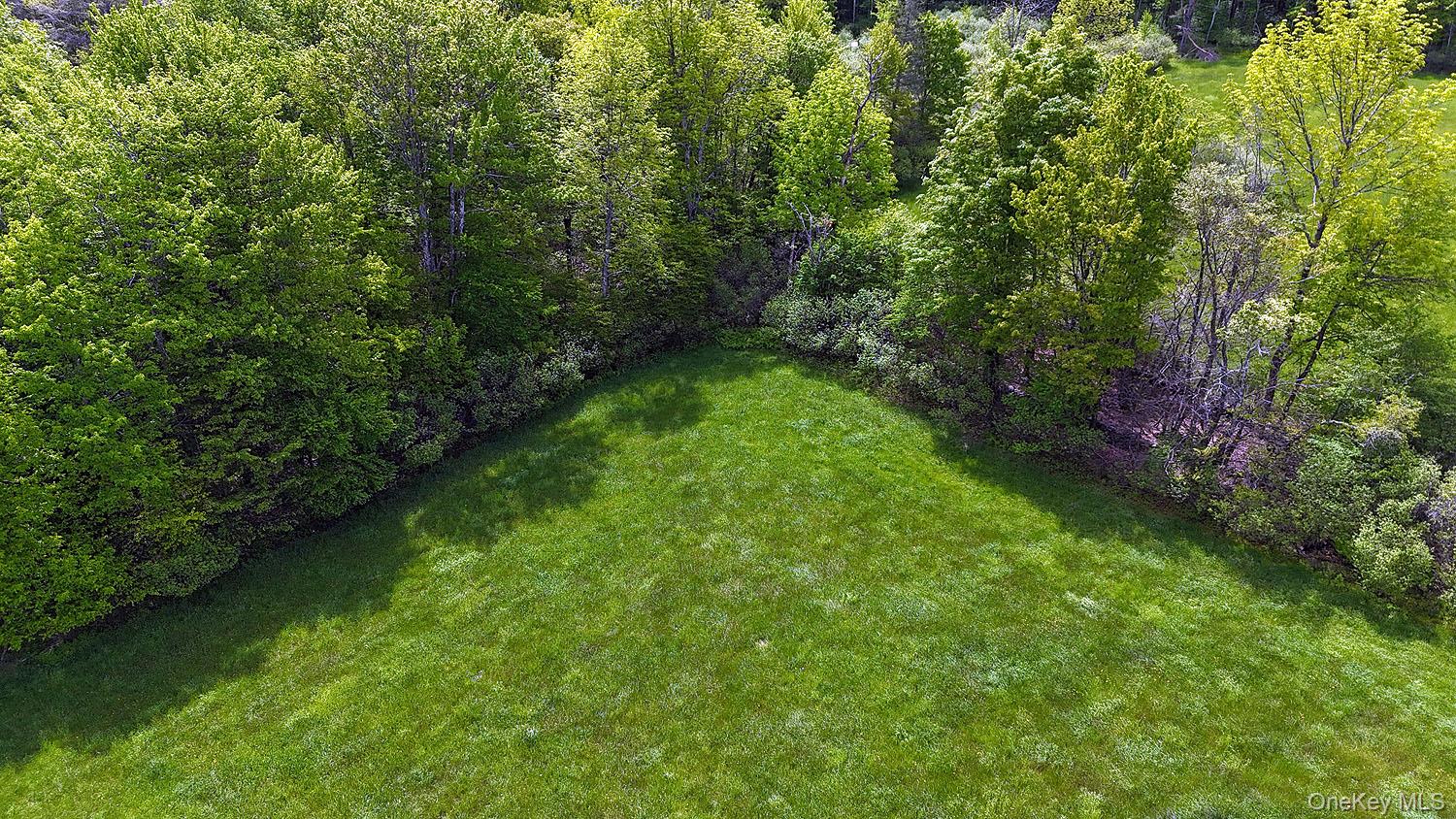 Menges Road Livingston Manor, NY 12791 - Photo 18 of 32 a lush green forest with lots of trees