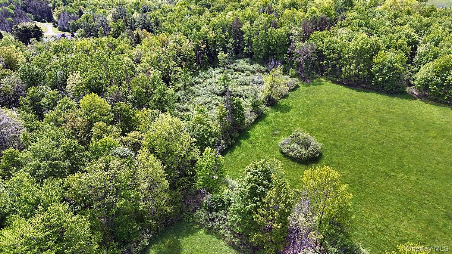 Menges Road Livingston Manor, NY 12791 - Photo 19 of 32 a view of a garden with a tree