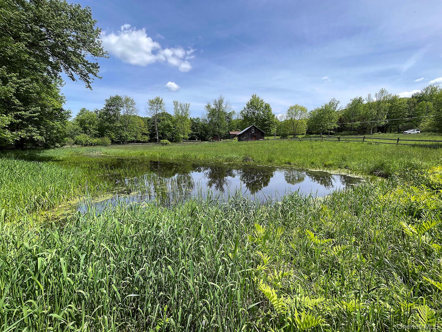 Menges Road Livingston Manor, NY 12791 - Photo 23 of 32 a view of lake with green space