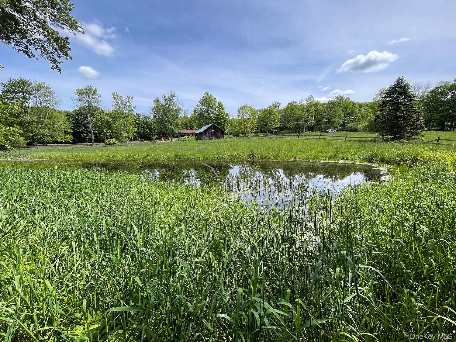 Menges Road Livingston Manor, NY 12791 - Photo 25 of 32 a view of a lake with a house in the background