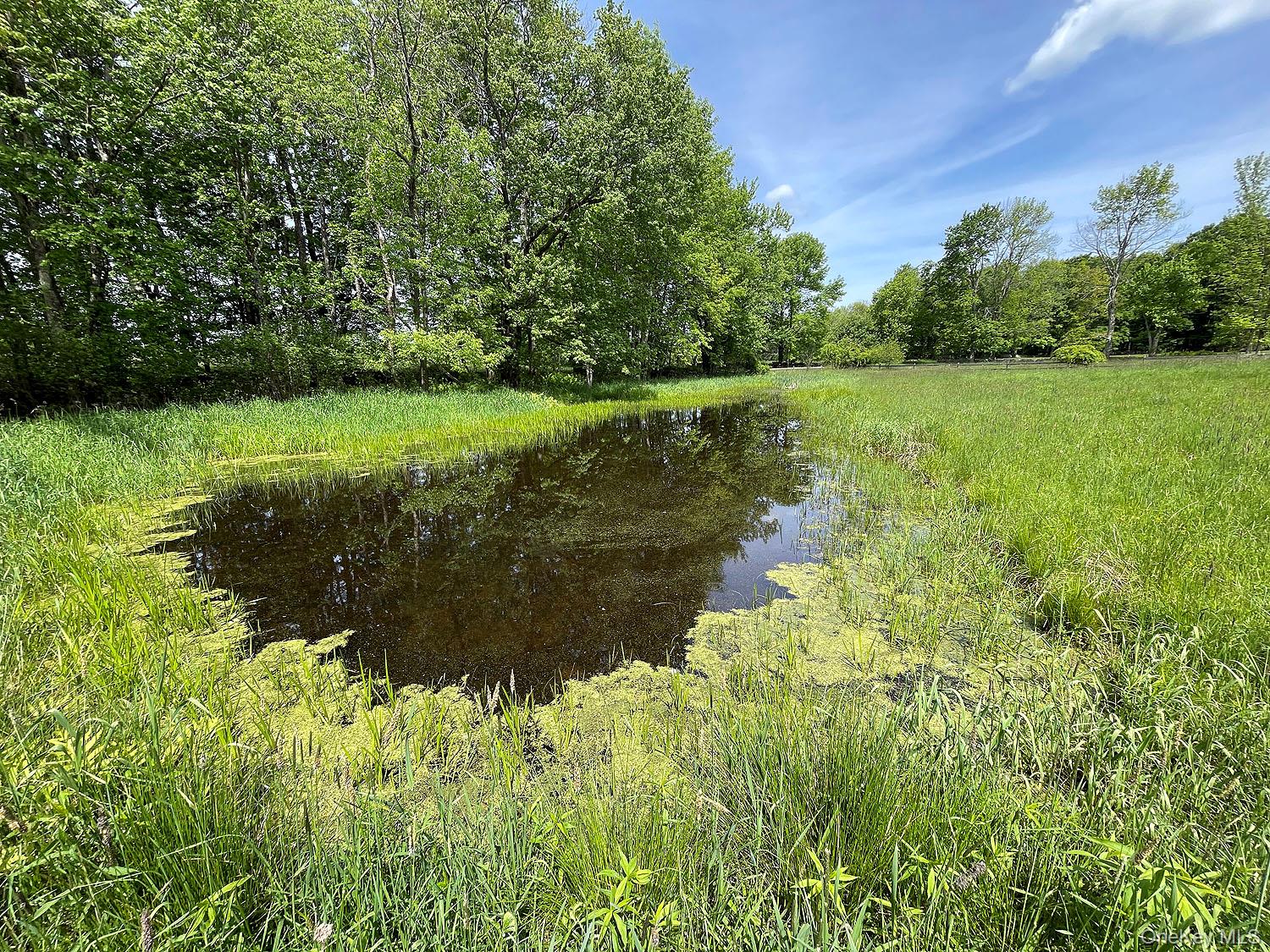 Menges Road Livingston Manor, NY 12791 - Photo 5 of 32 a view of a garden with a lake