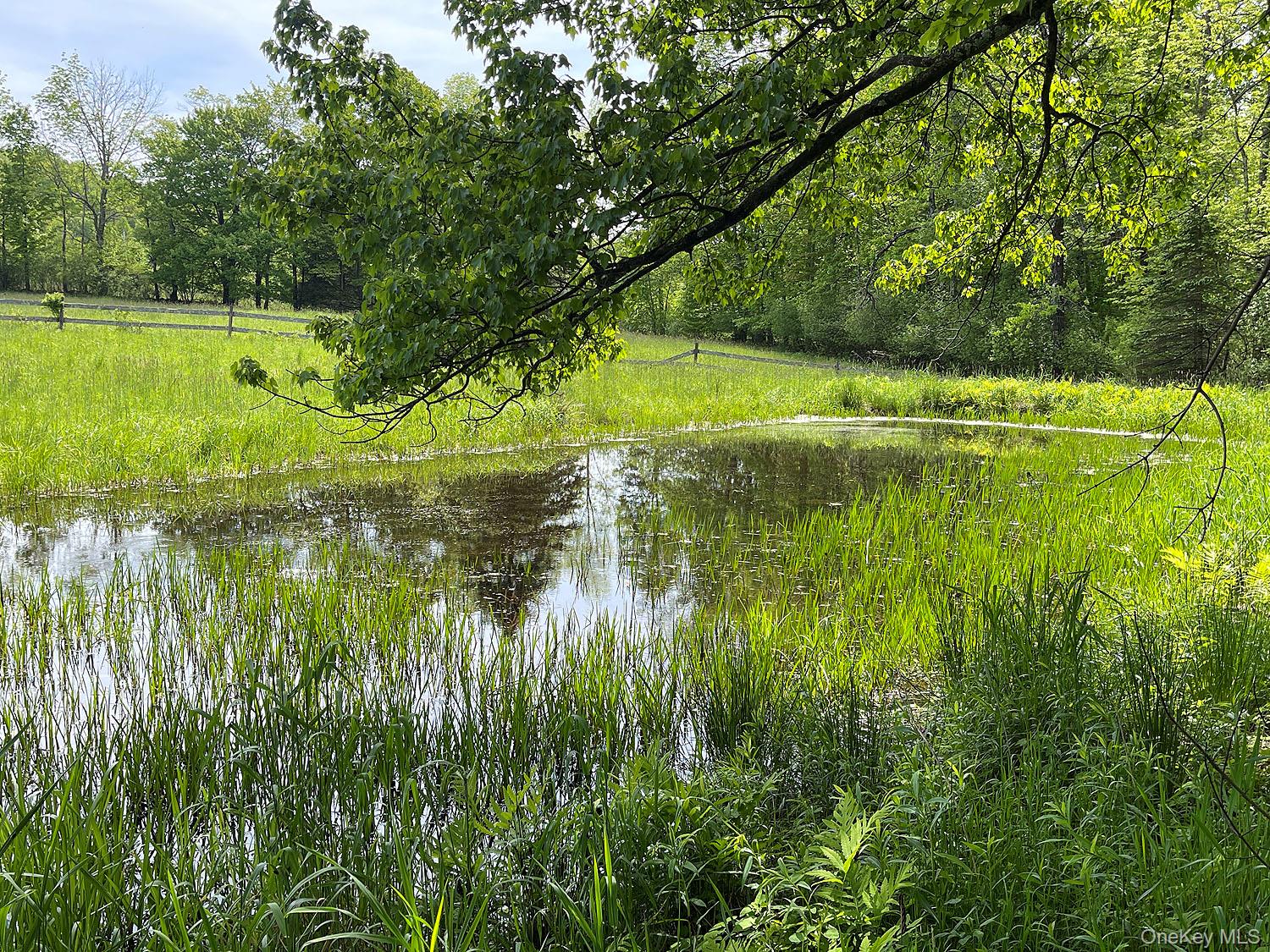 Menges Road Livingston Manor, NY 12791 - Photo 6 of 32 a view of a lake view with a big yard