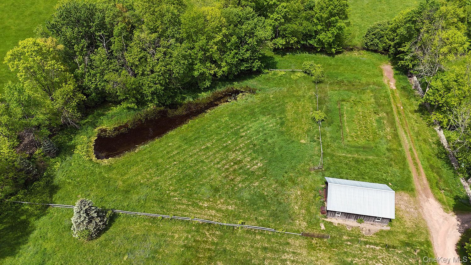 Menges Road Livingston Manor, NY 12791 - Photo 7 of 32 a view of a yard