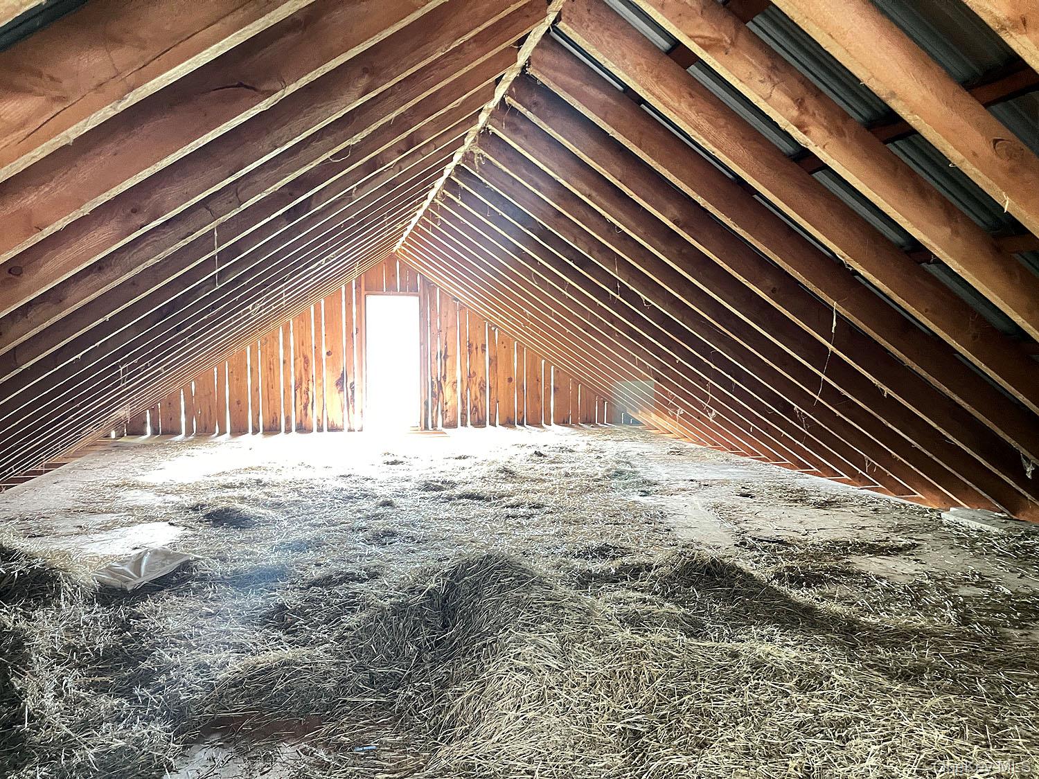 Menges Road Livingston Manor, NY 12791 - Photo 8 of 32 a view of backyard with large trees