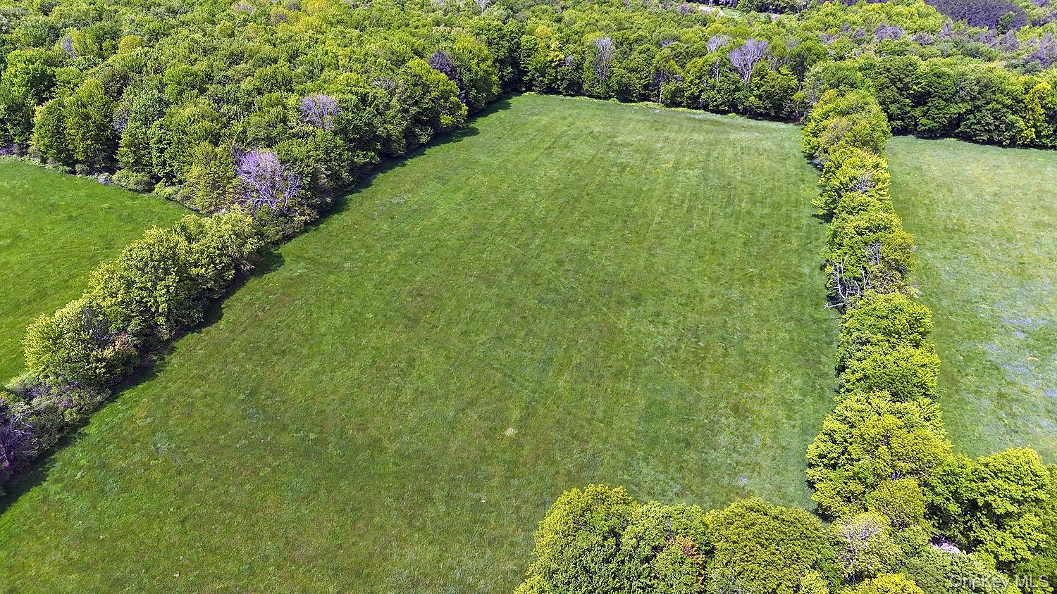 Menges Road Livingston Manor, NY 12791 - Photo 9 of 32 a view of a garden