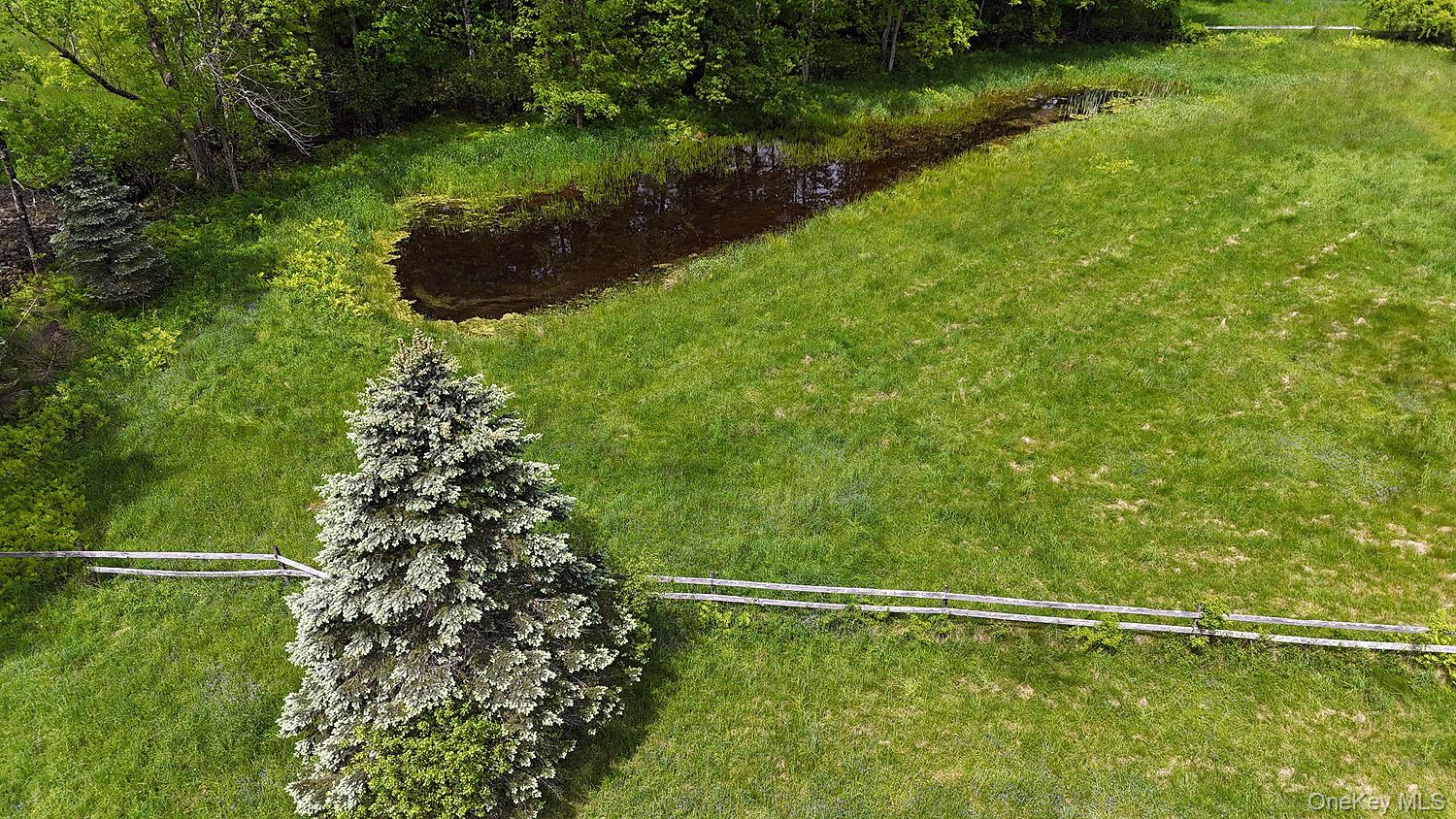 Menges Road Livingston Manor, NY 12791 - Photo 10 of 32 a view of a garden