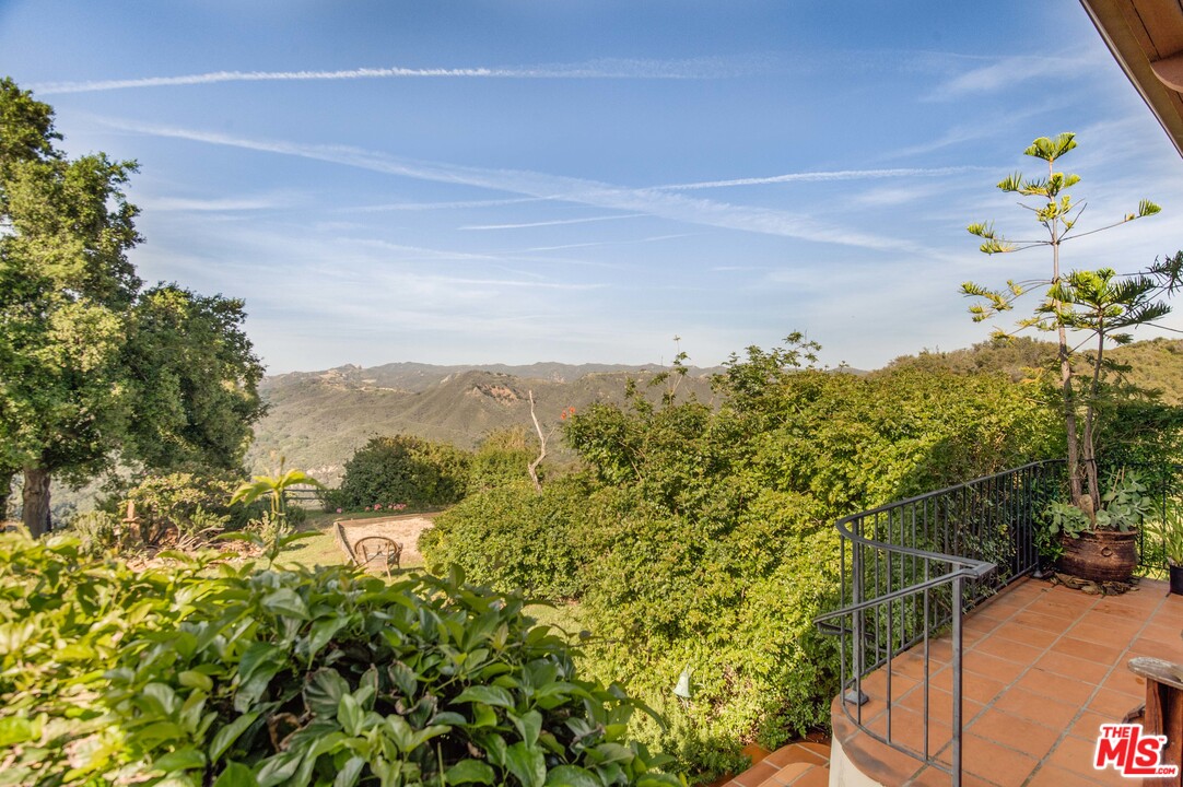 20333 Reigate Road Topanga, CA 90290 - Photo 9 of 21 a view of a yard with a tree