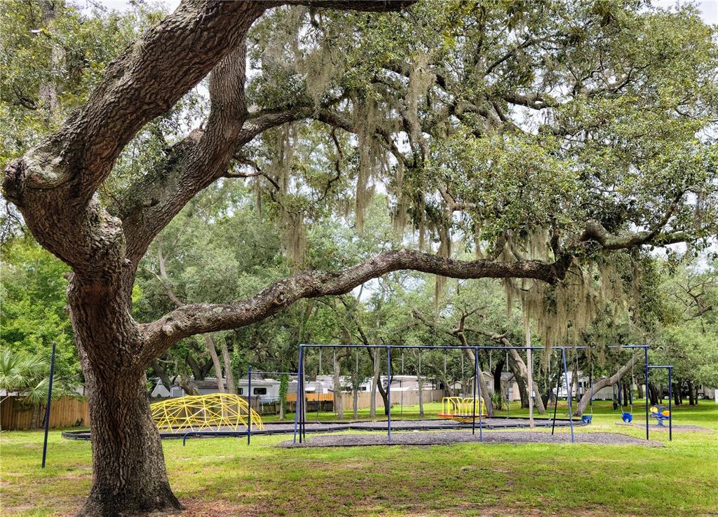 3000 Clarcona Road, Unit 2710 Apopka, FL 32703 - Photo 23 of 30 a view of park space