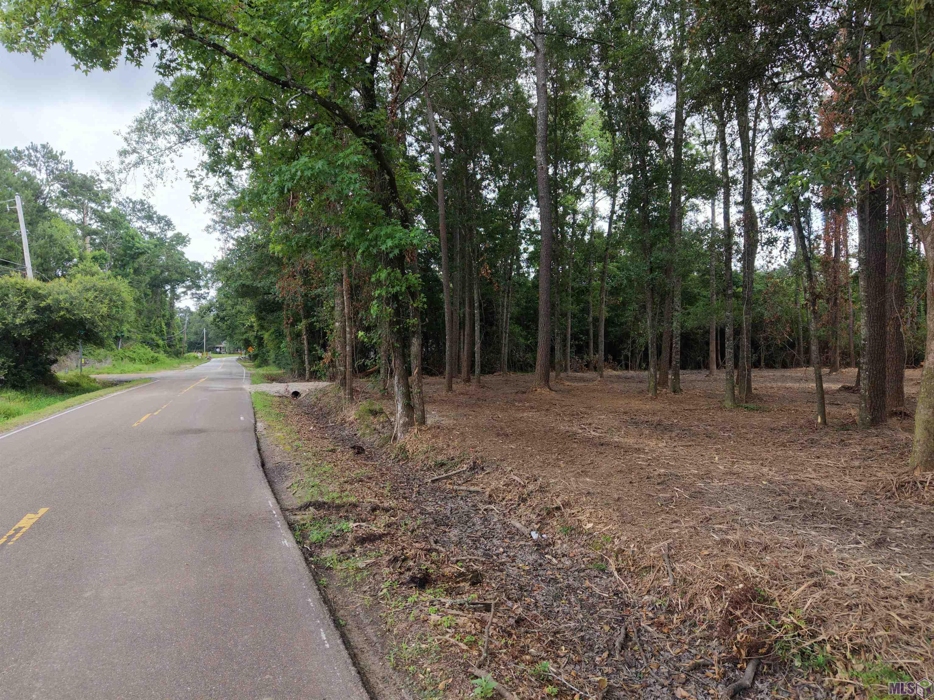 Tract C Esterbrook Road Ponchatoula, LA 70454 - Photo 12 of 13